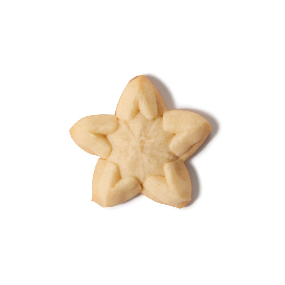 Christmas Cookie Press Disk Set L8