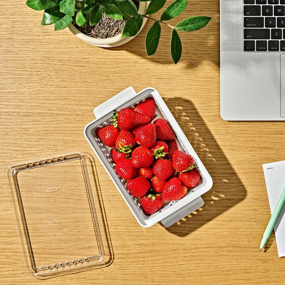 Produce Saver - Berry Keeper 2-Piece Set S0