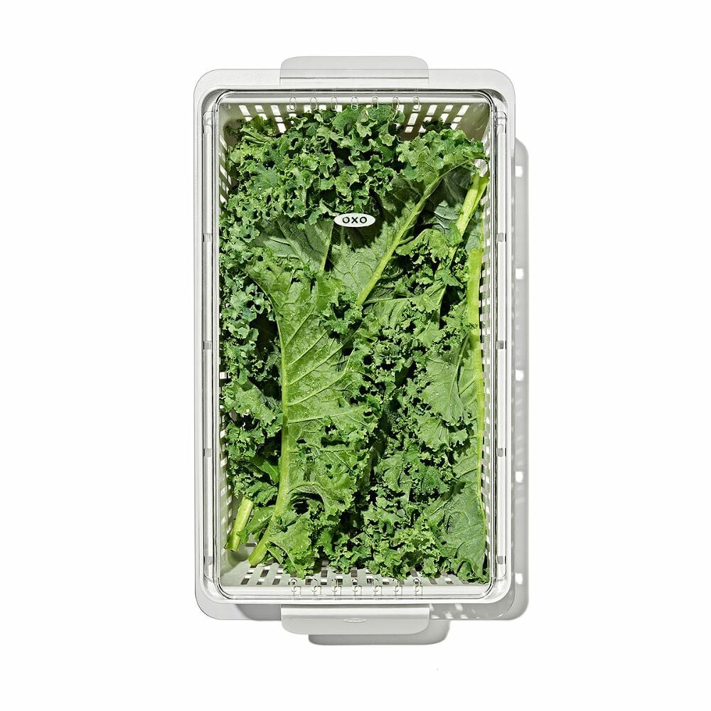 Produce Saver - Medium Bin I0