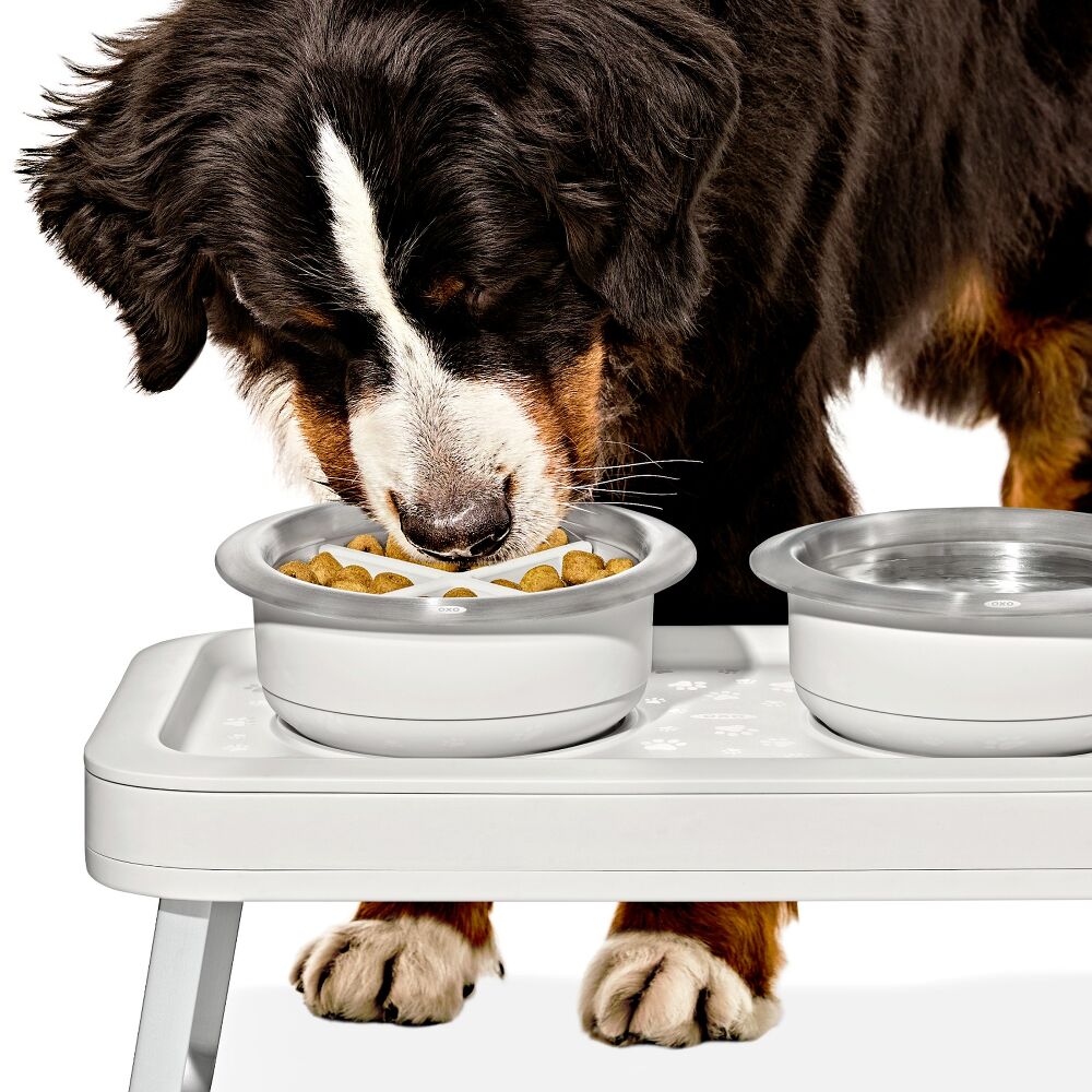 OXO Pet Easy-Clean Slow Feeder - Large, 4 Cups/950 ml Y8