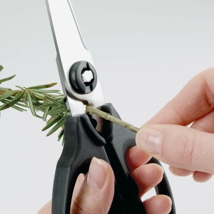 Kitchen And Herb Scissors V5