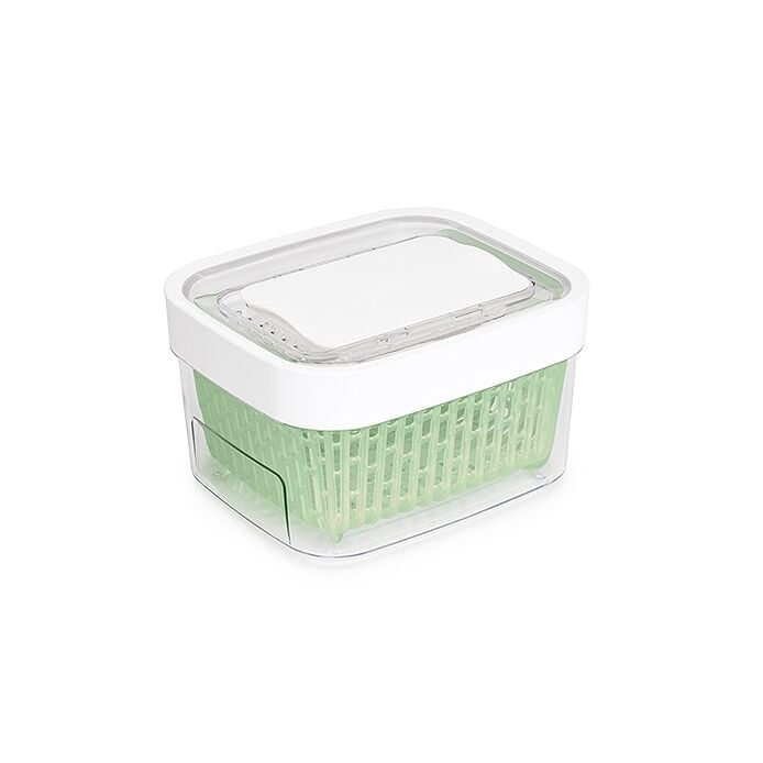 GreenSaver Produce Keeper (1.6 Qt) T2