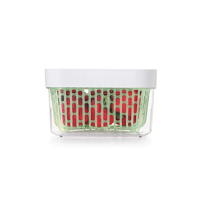 GreenSaver Produce Keeper (1.6 Qt) T2
