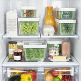 GreenSaver Produce Keeper (4.3 Qt) B6