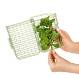 GreenSaver Herb Keeper - Small I3