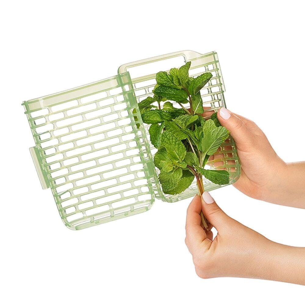 GreenSaver Herb Keeper - Small I3