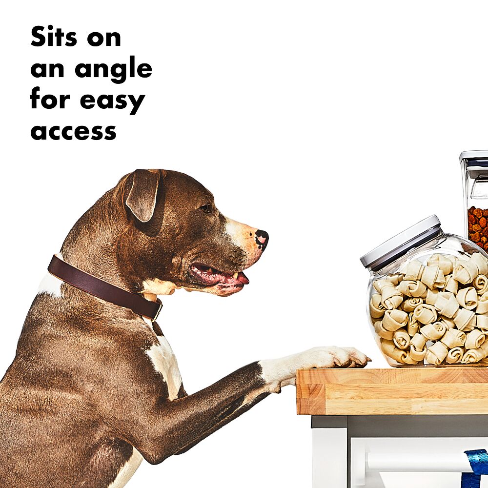 OXO Good Grips Pet POP Container – 3.0 Qt/2.8 L Y1