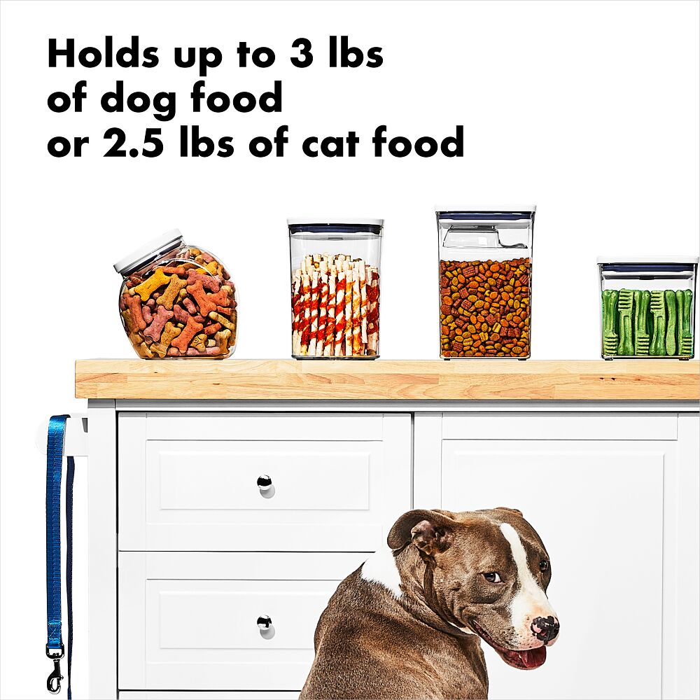 OXO Good Grips Pet POP Container – 3.3 Qt/3.1 L D1