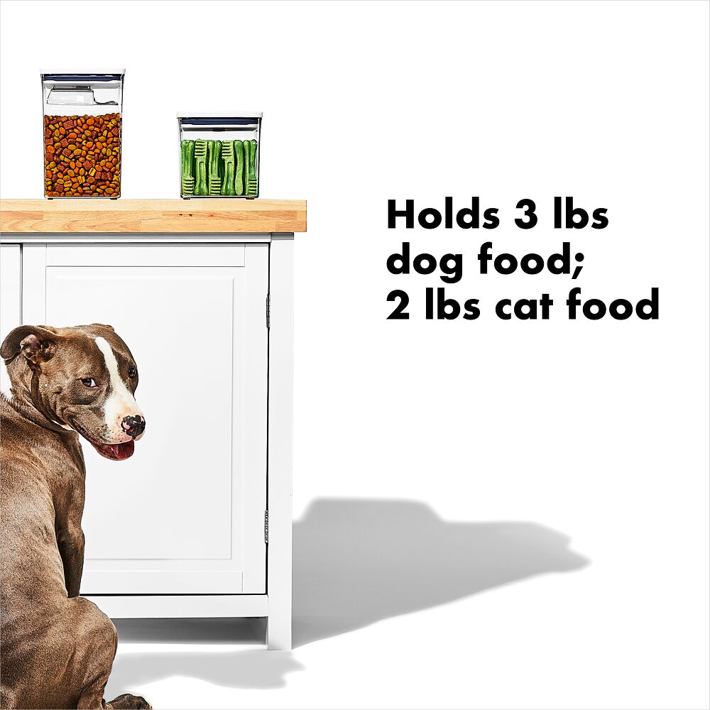 OXO Good Grips Pet POP Container – 2.8 Qt/2.6 L B2