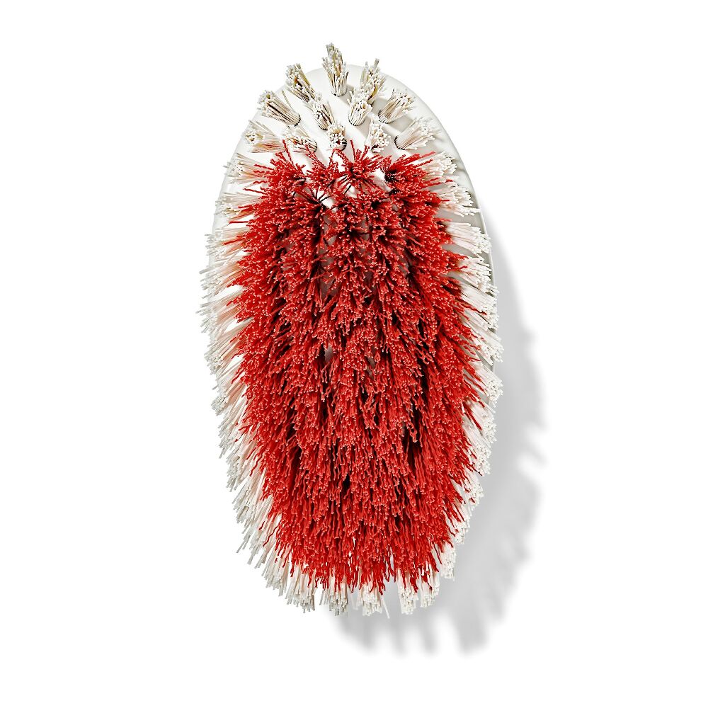 All-Purpose Scrub Brush 2-Pack R1
