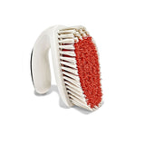 All-Purpose Scrub Brush 2-Pack R1