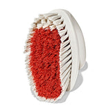 All-Purpose Scrub Brush 2-Pack R1