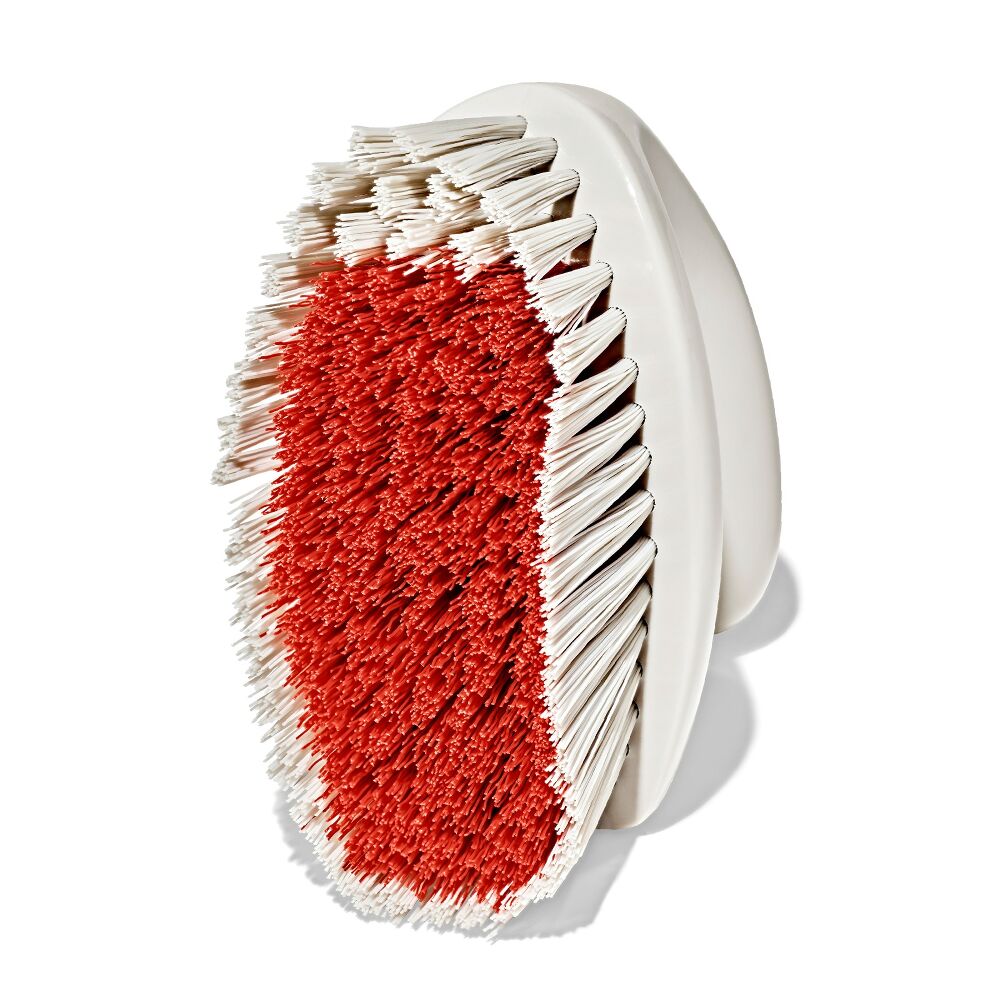 All-Purpose Scrub Brush 2-Pack R1