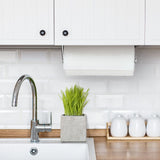 Steady Mounted Paper Towel Holder X1