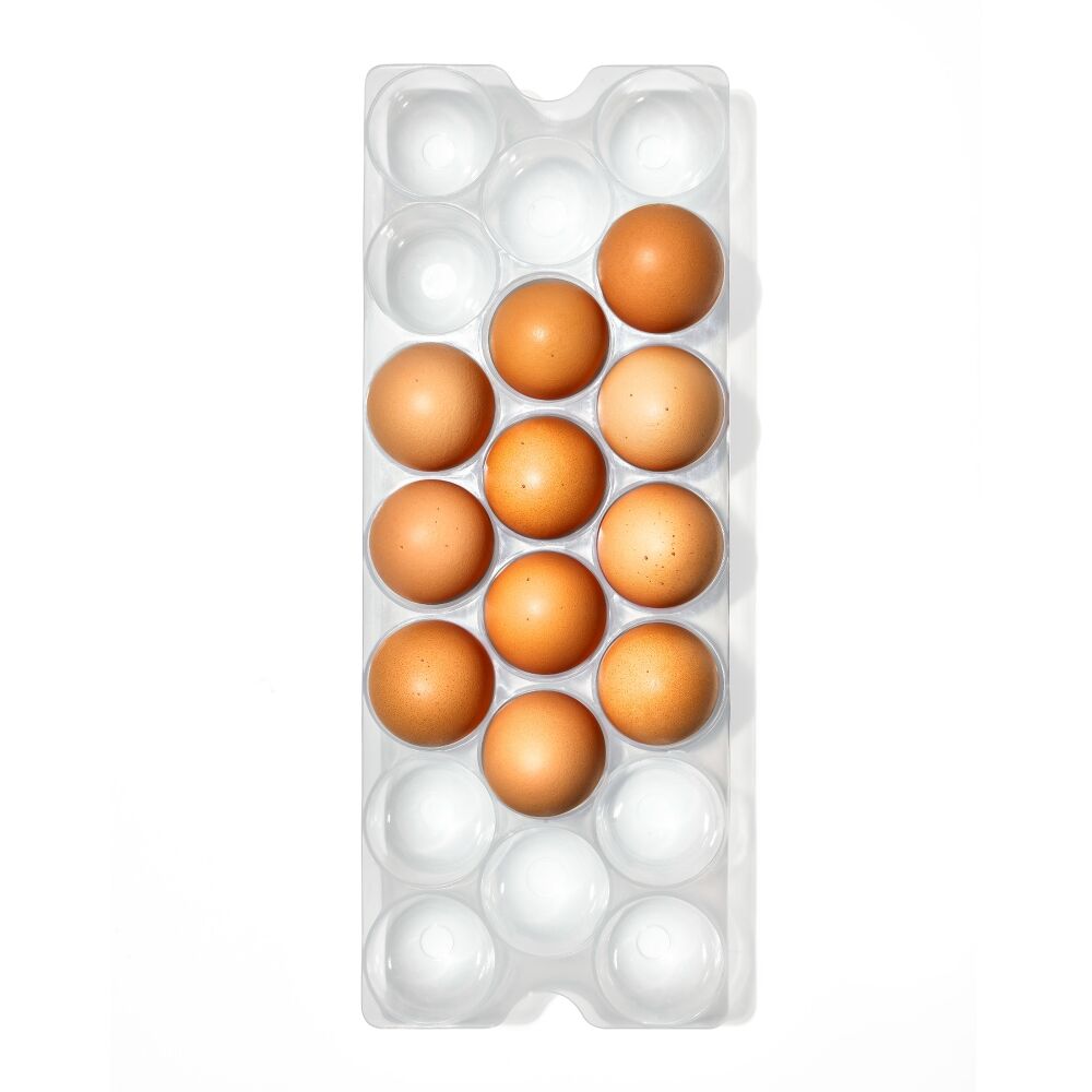 Refrigerator Egg Bin With Removable Tray A7