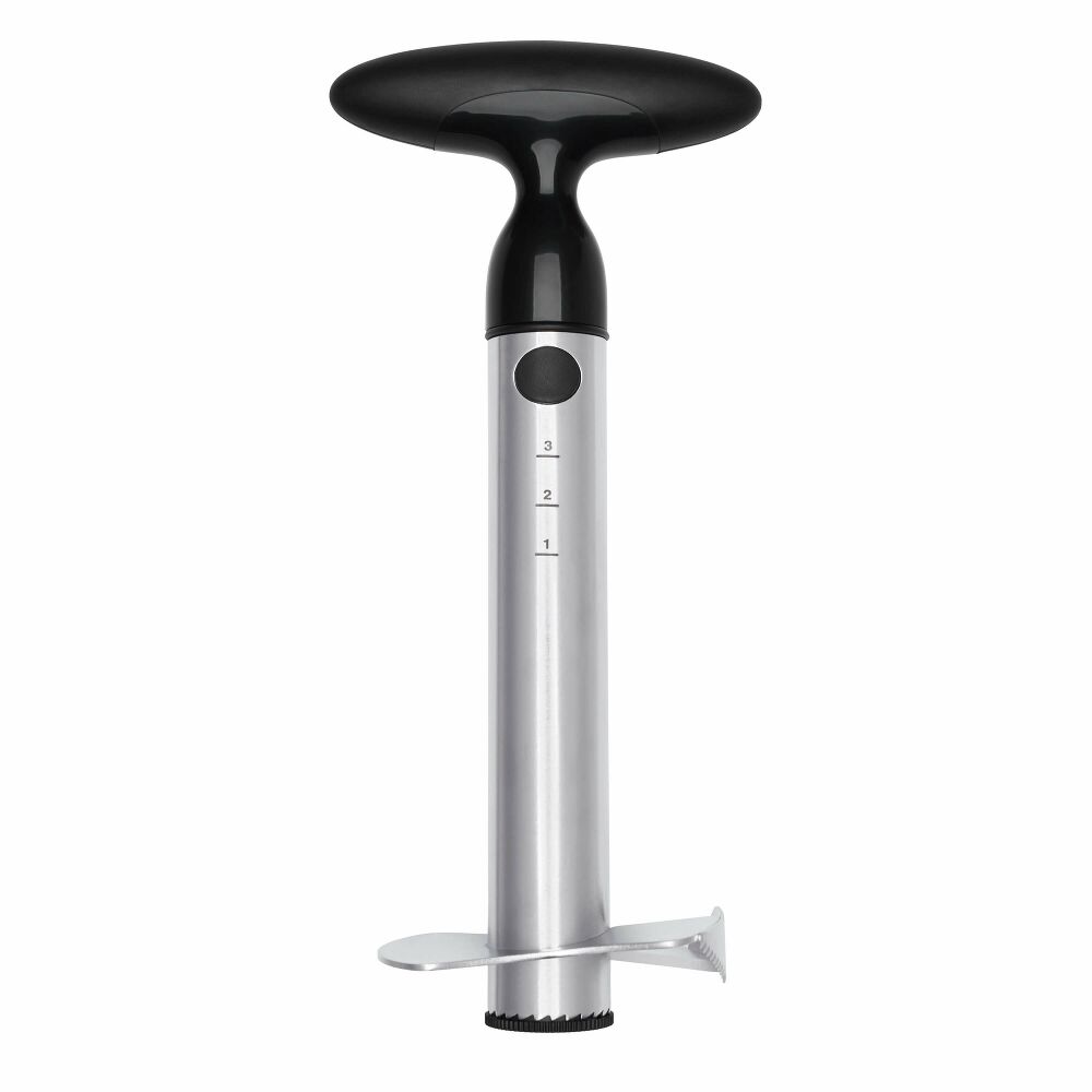 Stainless Steel Pineapple Slicer C9