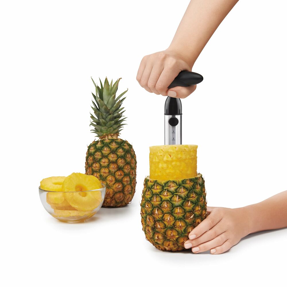 Stainless Steel Pineapple Slicer C9