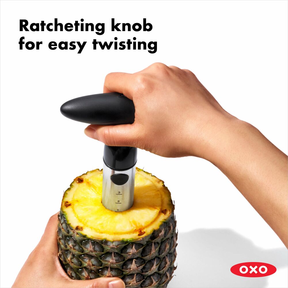 Stainless Steel Pineapple Slicer C9