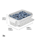 Produce Saver - Berry Keeper 2-Piece Set S0