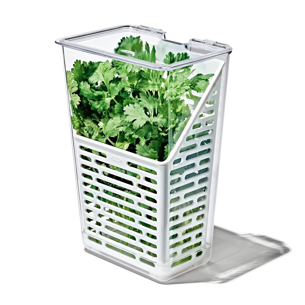 Produce Saver - Herb Keeper P8