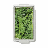 Produce Saver - Medium Bin I0