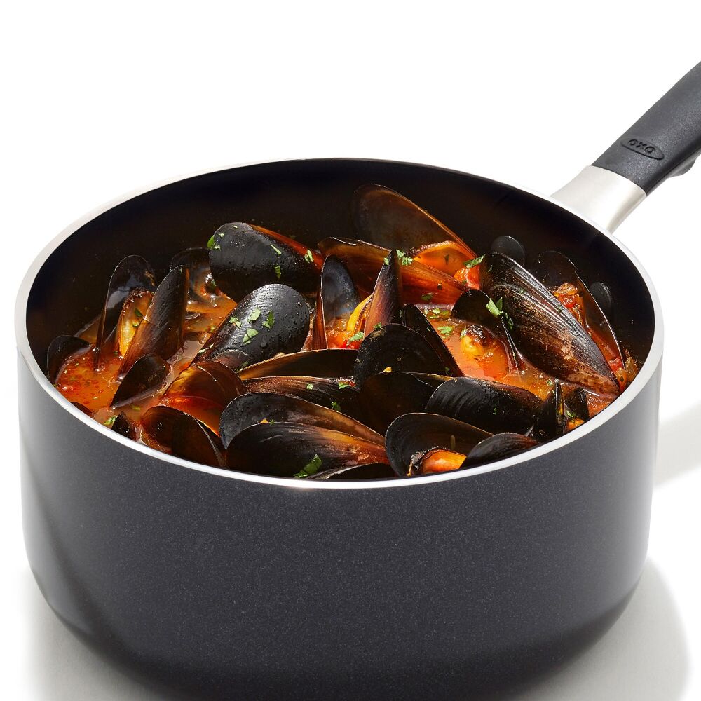 Non-Stick Pro Every Day 1.6 Qt Saucepan with Lid J9