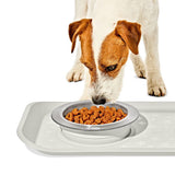 OXO Pet Nonslip Bowl - Small, 1 Cup / 240 mL W1