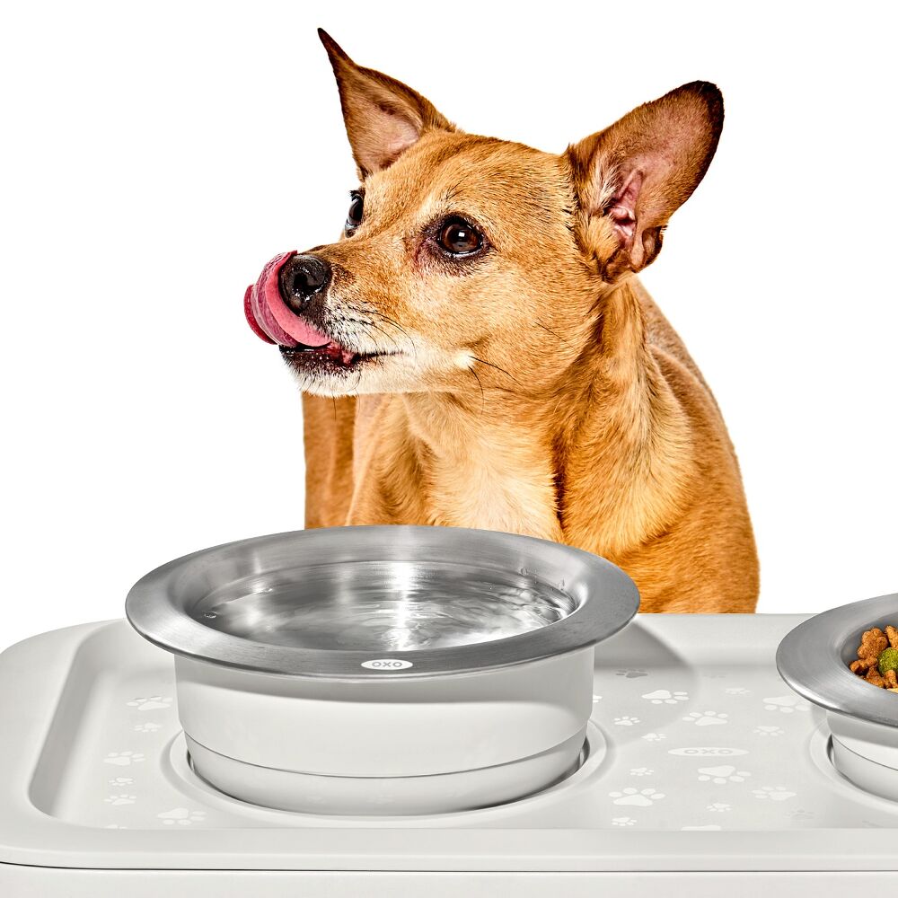 OXO Pet Nonslip Bowl - Medium, 2 Cups / 480 mL J3