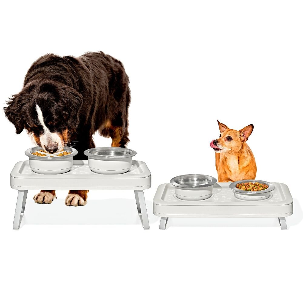 OXO Pet Adjustable Elevated Feeder I2