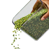 POP Container - Rectangle Medium (2.7 Qt/2.6 L) N0